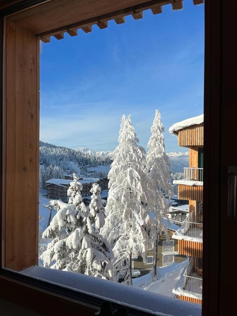 Almapp Nassfeld Lejlighed Sonnenalpe Nassfeld Eksteriør billede